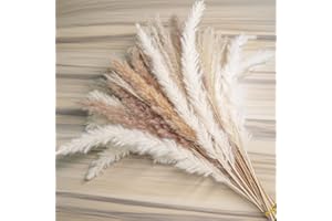 euokrpf 60pcs Natural Dried Pampas Grass,20 Pcs White Pampas & 20 Pcs Brown Pampas & 20 Pcs Reed Grass Boho Decor Wedding Decorations Flower Arrangements Home Decor