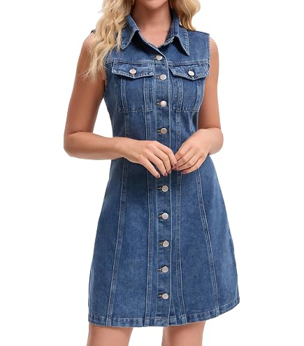 FRAME Women's The Denim Day Dress, Deira, XS at Amazon Women's Clothing store
