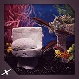 Toilet Tank aquarium
