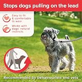 Beaphar Gentle Leader Head Collar for Small Dogs - Anti-Pull Training Aid - view 5