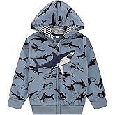 NUBEEHOHO Toddler Zip Up Hoodie Sweatshirt Fall Clothes Boys Jacket With Hood 2-7 Years