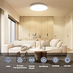 NIORSUN 12 inch Flush Mount LED Ceiling Light