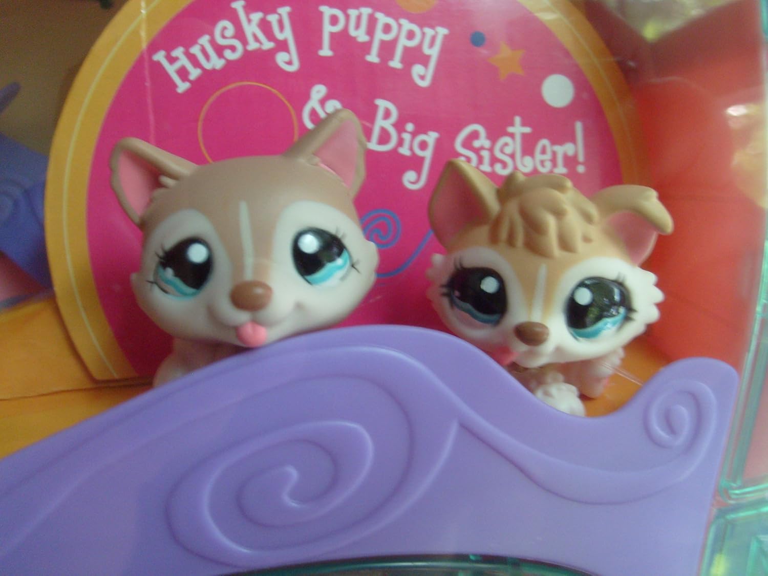 lps cozy care adoption center