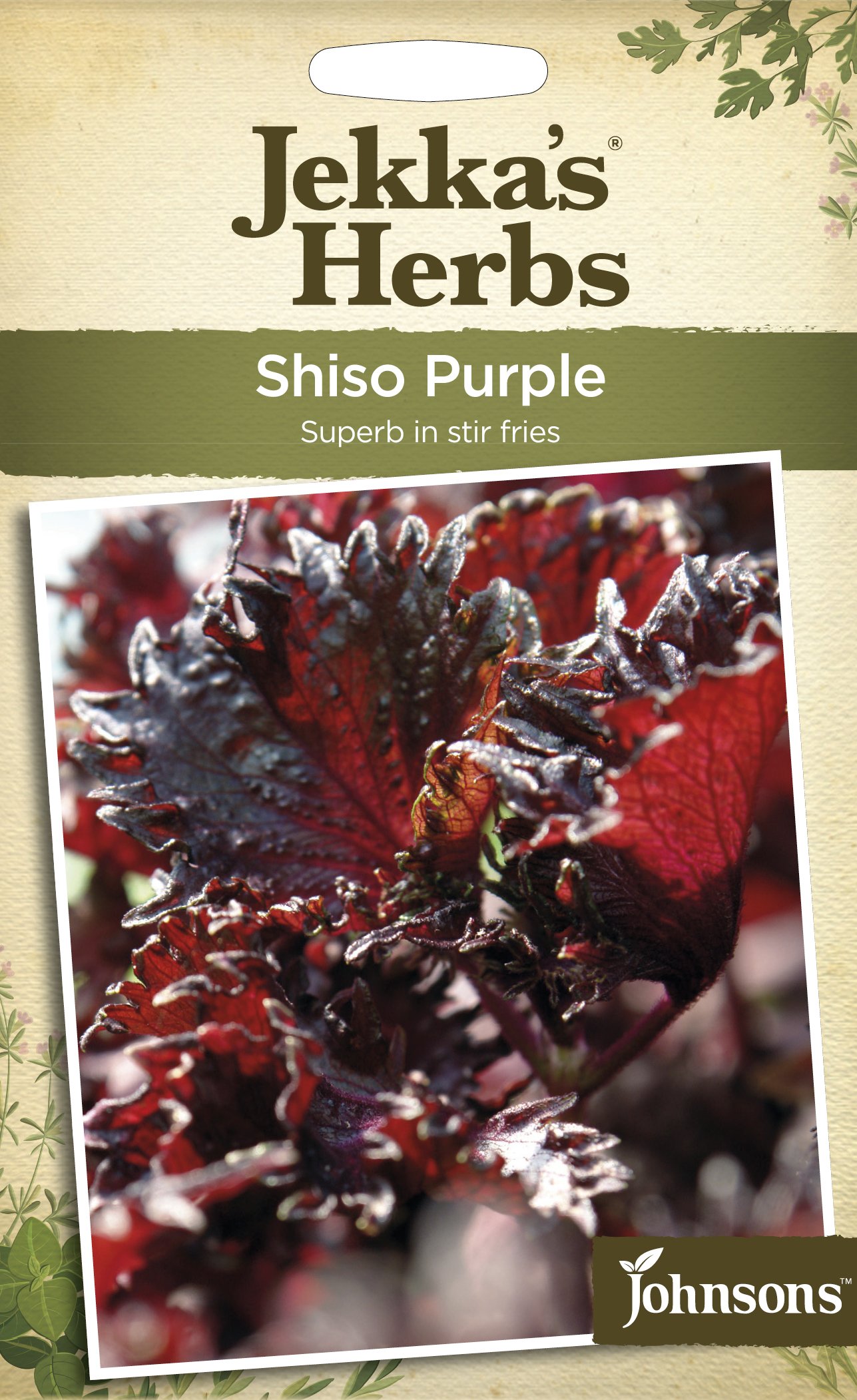 Johnsons 10072 Herb Seeds, SHISO Purple