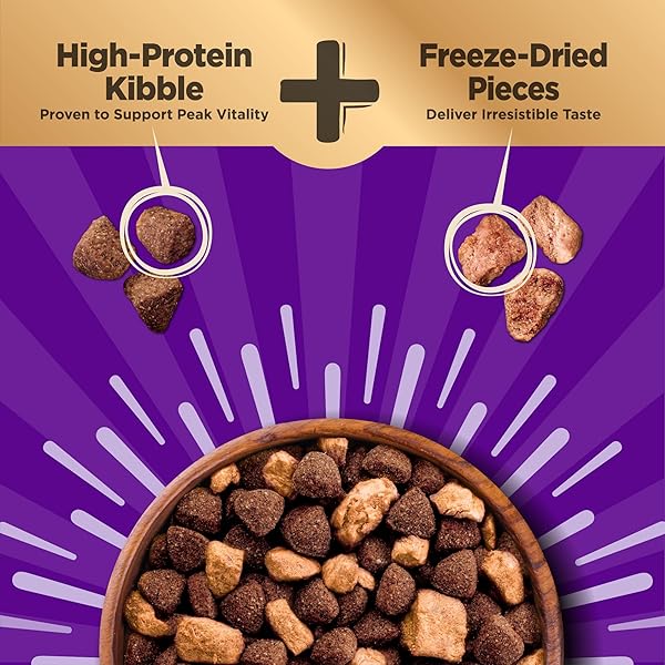 WELLNESS CORE+ ADULT DRY DOG FOOD WITH FREEZE DRIED PIECES, WHOLESOME GRAIN KIBBLE+, NATURAL, HIGH PROTEIN, CHICKEN FREE, WHITEFISH, HERRING, AND SALMON RECIPE, 4 LB BAG