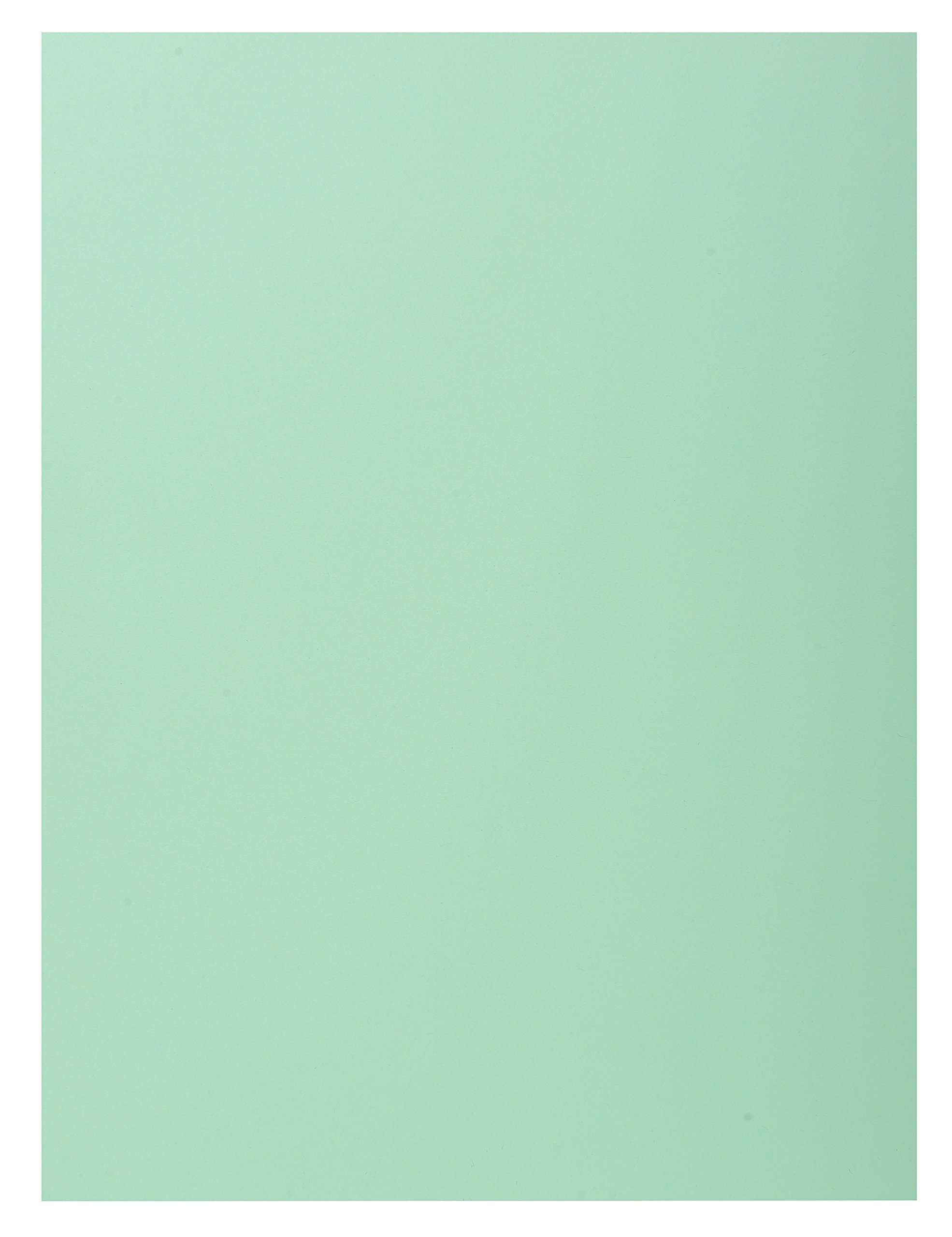 Exacompta - Ref 339004E - Super 210 1-Flap Folders - 240 x 320mm in Size, Suitable for Holding A4 Documents, 210gsm Card, Single Fold Over Flap - Light Green (Pack of 50)
