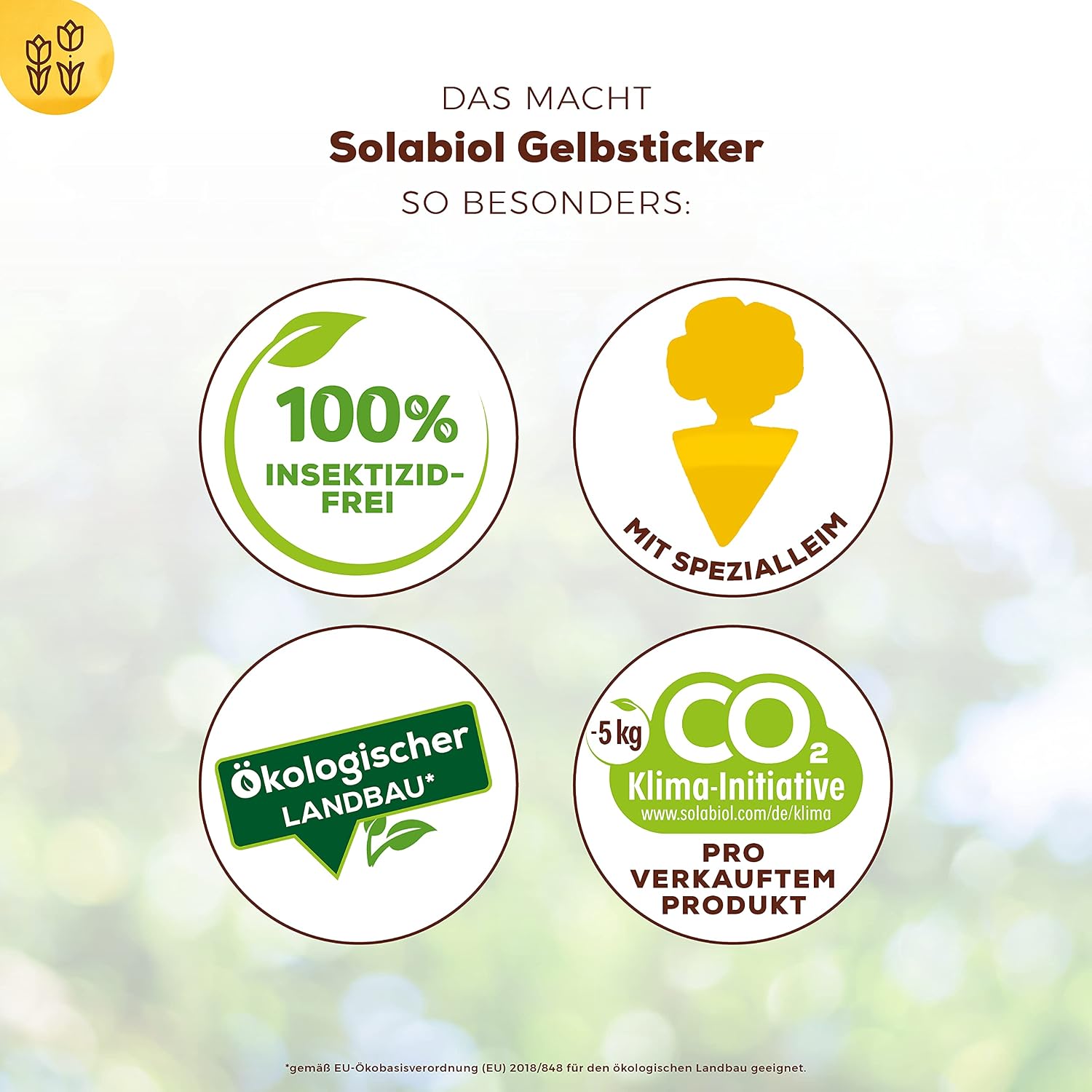 Solabiol Yellow Stickers Insect Repellent with Special Adhesive without Insecticides, Against Mosquitoes, White Flies - Image 5