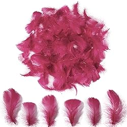 300pcs Maroon Red Feathers 2-3 Inches Bulk Feathers