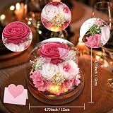 Touloube Preserved Pink Eternal Rose in Glass Dome - Gifts for Her view 2