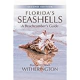 Florida's Seashells: A Beachcomber's Guide