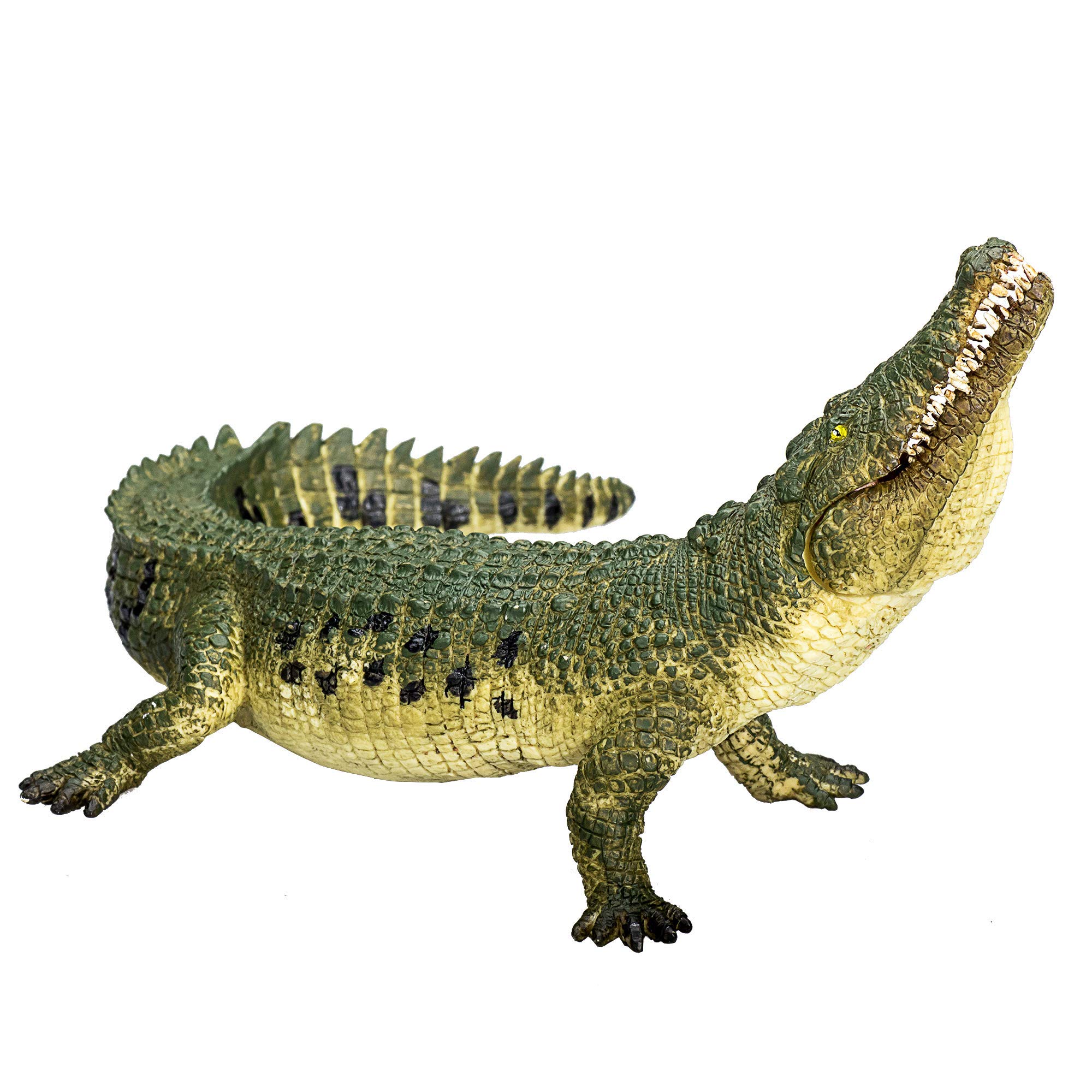 MOJO - Crocodile| Moving Jaw Feature | Hand-Painted Toy Figure | Prehistoric Life Collection | True to Life & Highly Detailed | Designed in UK.