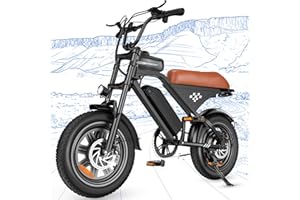 Flydone Electric Bike, 1000W Peak Motor, 20/28 MPH 16"/20" x4" Fat Tire Ebike, USB Phone Charging Port, 10.4Ah Removable Battery, 7-Speed Electric Dirt Bike for Adults, Teens & Women