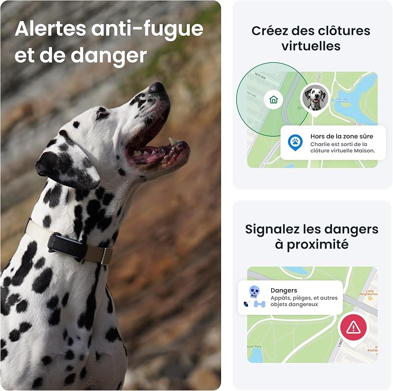 – Collier GPS Chien Connecté, Bundle avec Coque Olive | Édition 2025 | Localisation GPS en Direct | Alertes Anti-fugue et de Santé | Moniteur de Signes Vitaux | Leader du Marché (Noir)