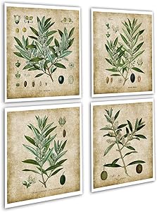 Farmhouse Wall Decor Olive Plants Home Decor Set of 4 Unframed Botanical Art Prints, Olive_plants_4A