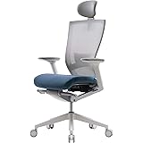 SIDIZ T50 Home Office Desk Chair : Ergonomic Office Chair, Adjustable Headrest, 2-Way Lumbar Support, 3-Way Armrests, Forward