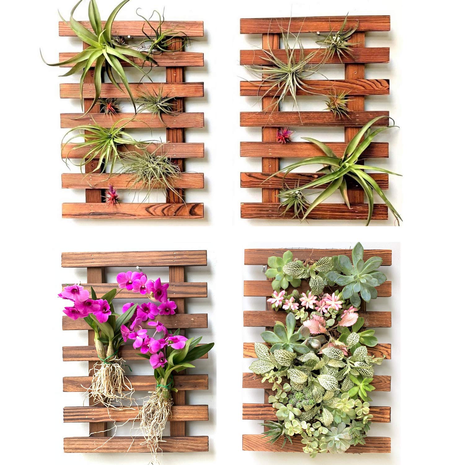 Photo 1 of ShopLaLa Wall Planters - 4 Pack Wooden Hanging Planter for Indoor Outdoor Plants, Air Plant Succulent Orchid Holder, Live Vertical Garden Wall Mounted Plant Stand, Wall Christmas Decor 15.7" (40cm)