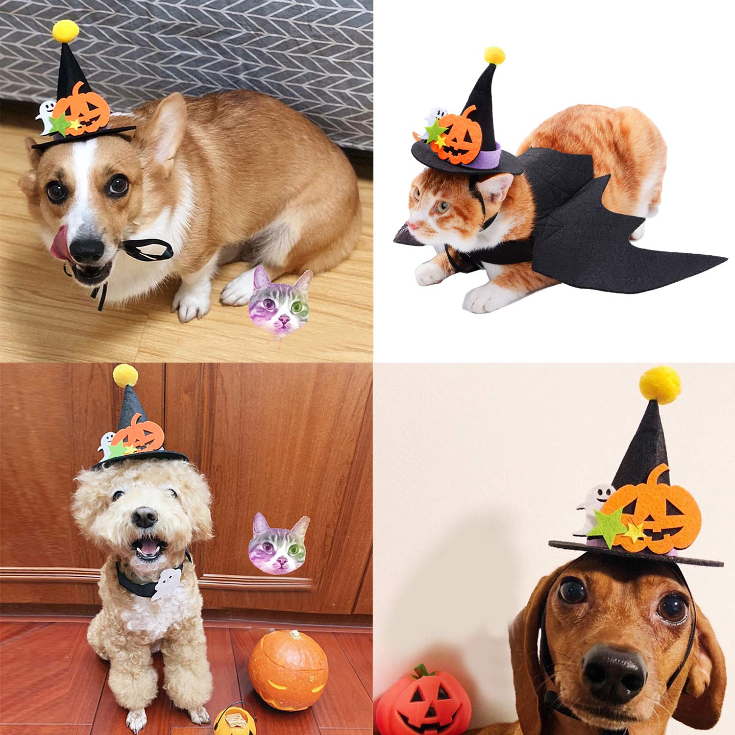 Fansport Halloween Pet Bat Wings Costume Cat Dog Bat Wings Costume with Pet Party Hat for Halloween