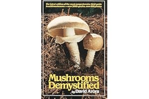 Mushrooms Demystified