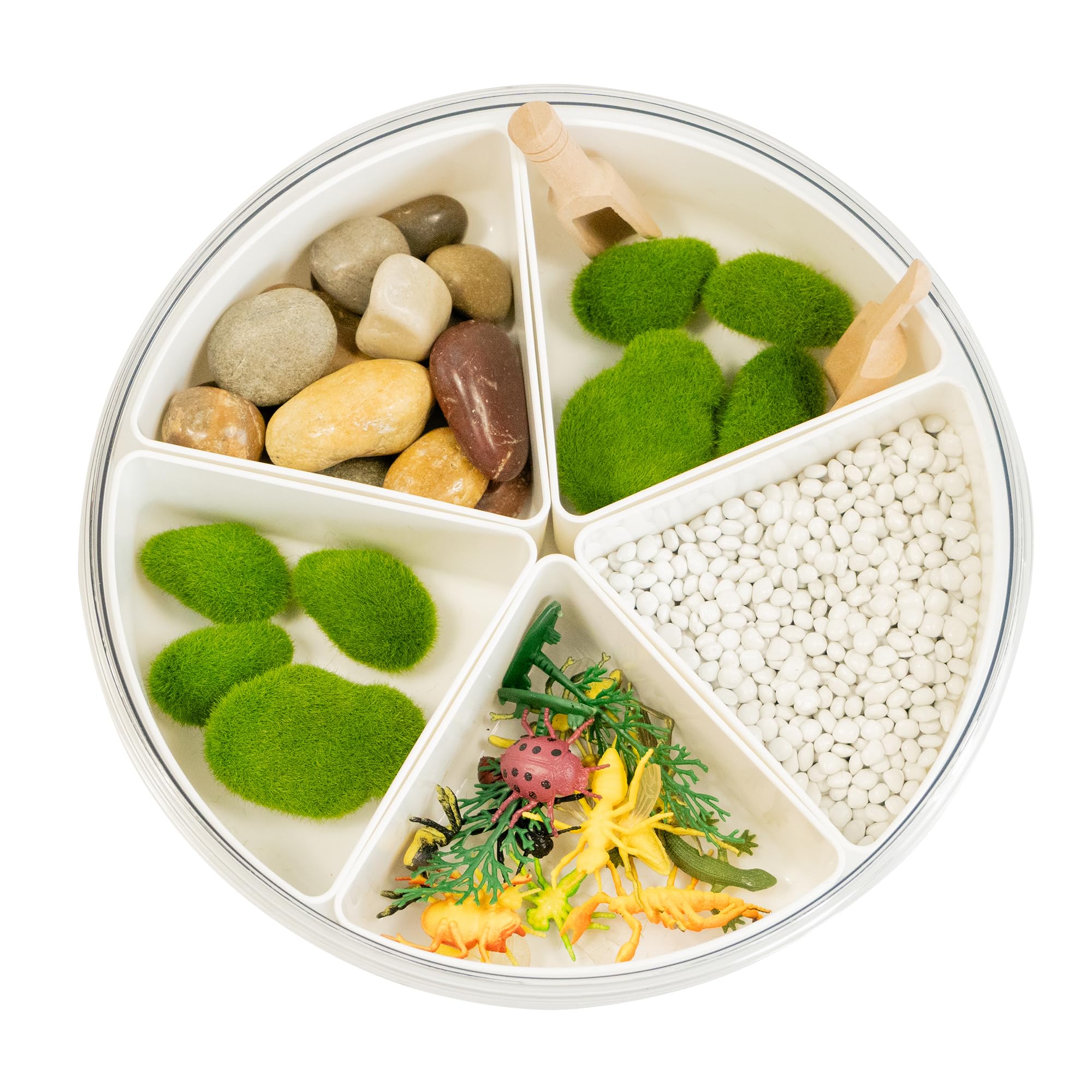 MagicMeadow Insect Sensory Kit for Kids | Autism-Friendly Sensory Play Tray & Bin | Montessori Toys for Toddlers & Kids | Sensory Tray & Box | Engaging Sensory Toys