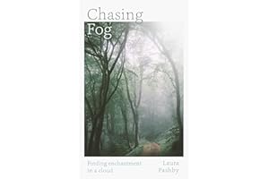 Chasing Fog