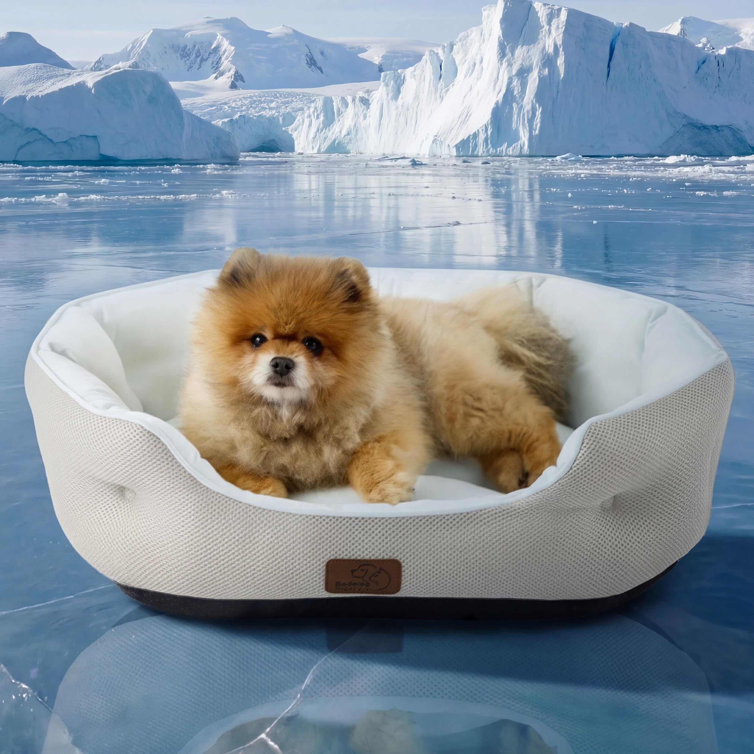 Bedsure Cooling Dog Beds for Small Dogs - Round Medium Cat Beds for Indoor Cats, Washable Pet Bed for Puppy and Kitten with Slip-Resistant Bottom, 25 Inches, Arctic Blue Image