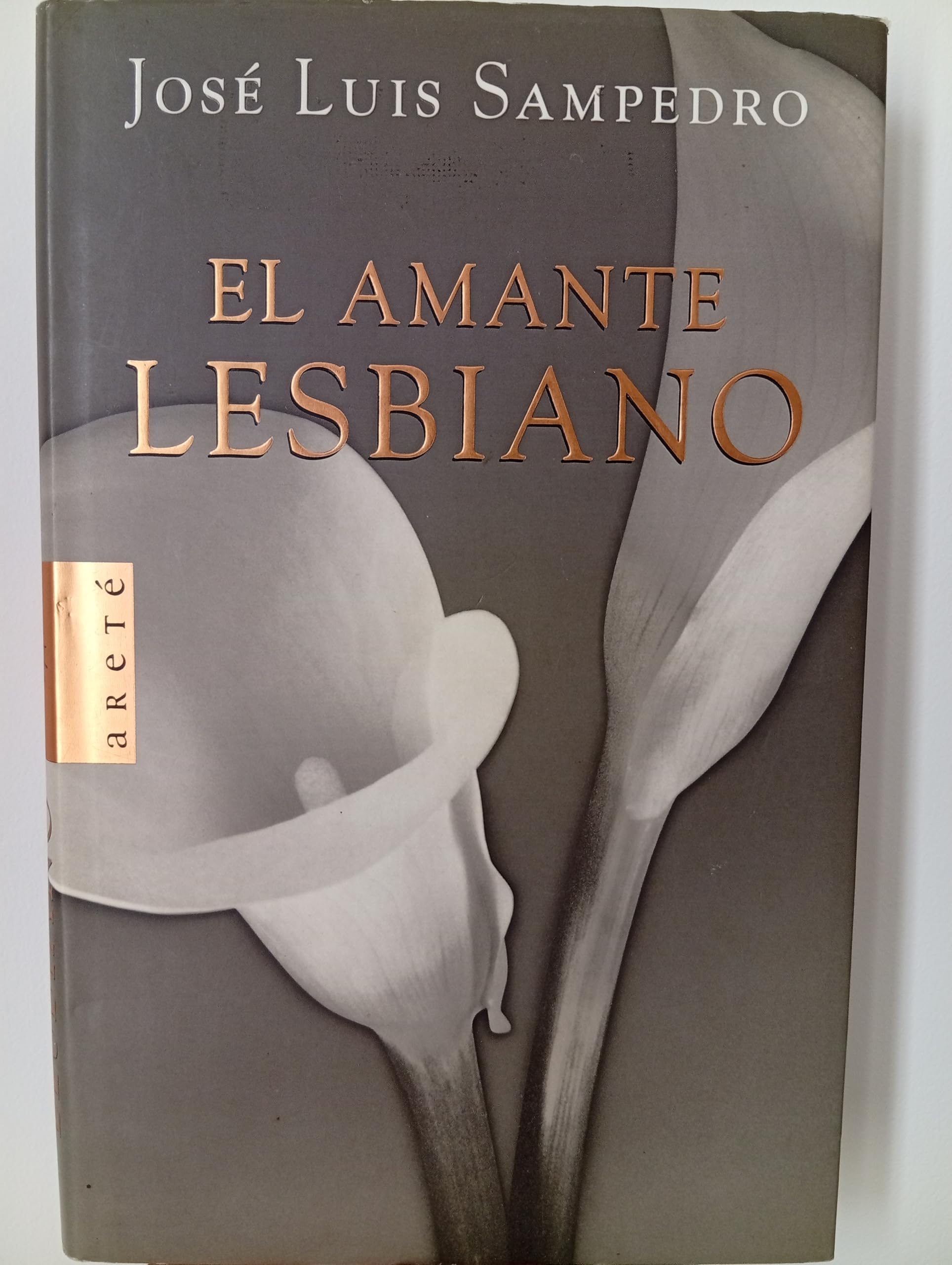 Portada de AMANTE LESBIANO,EL (SIN COLECCION)