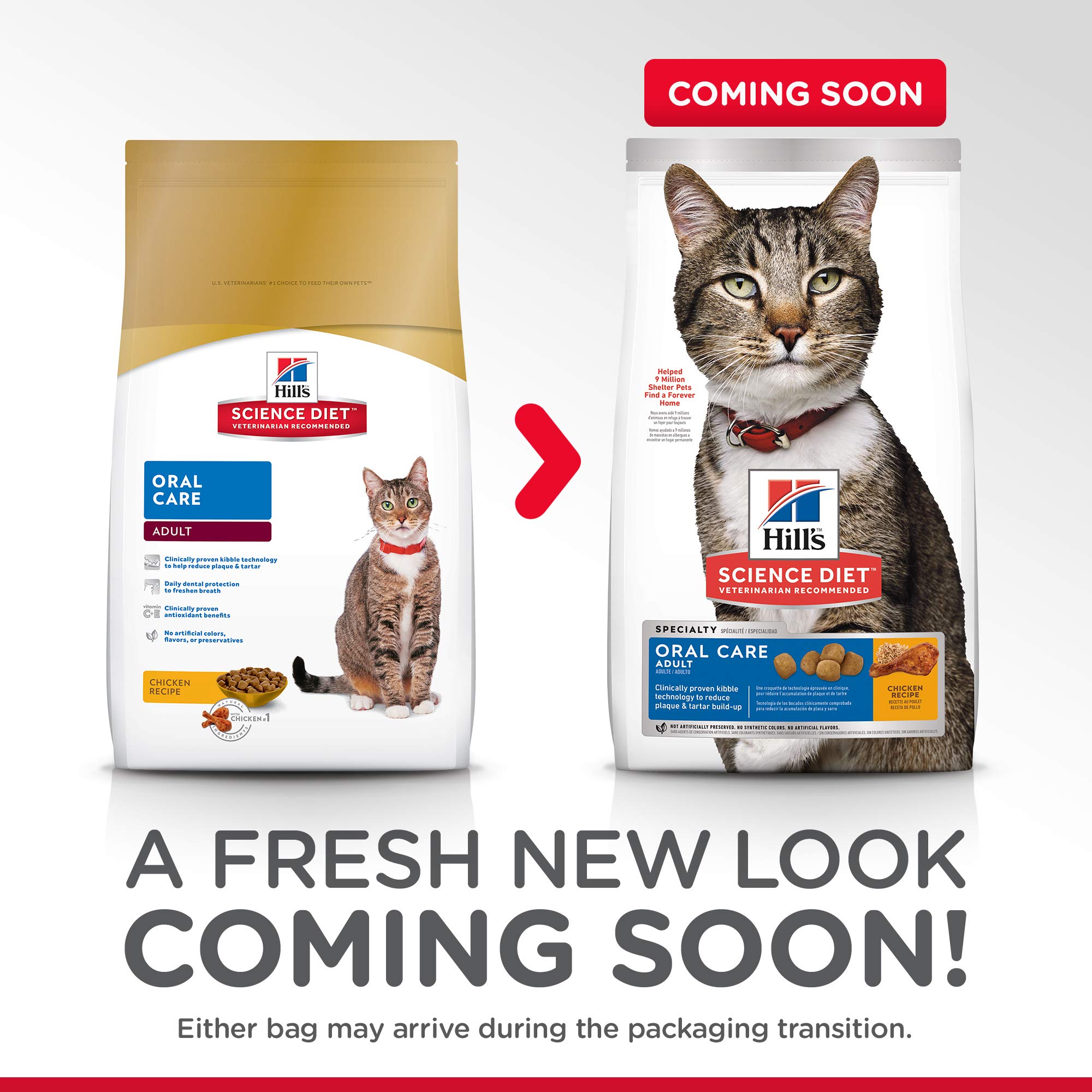 Hill's Science Diet Dry Cat Food, Adult, Oral Care, Chicken Recipe, 7