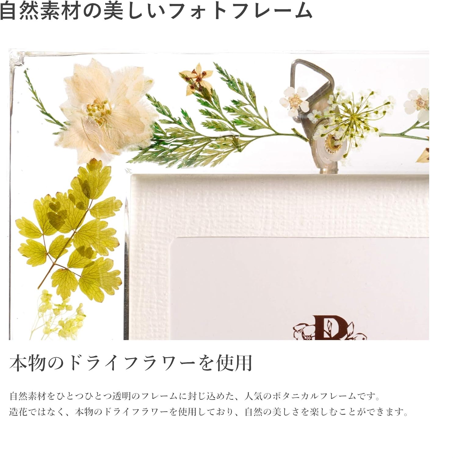 Amazon A P J フォトフレーム ボタニカルフレーム グリーン 写真立て 卓上 壁掛け サービスl はがき フォトフレーム 通販