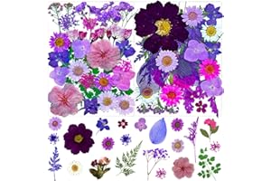 MIKIYA 54Pcs Purple Pressed Dried Flowers for Resin, Real Natural Bulk Assorted Dry Floral Leaves for DIY Art Crafts, Epoxy Molds, Jewelry, Soap, Candle Making, Nails Decors