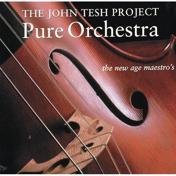 The John Tesh Project☆Guitar by the Fire s-l400.jpg