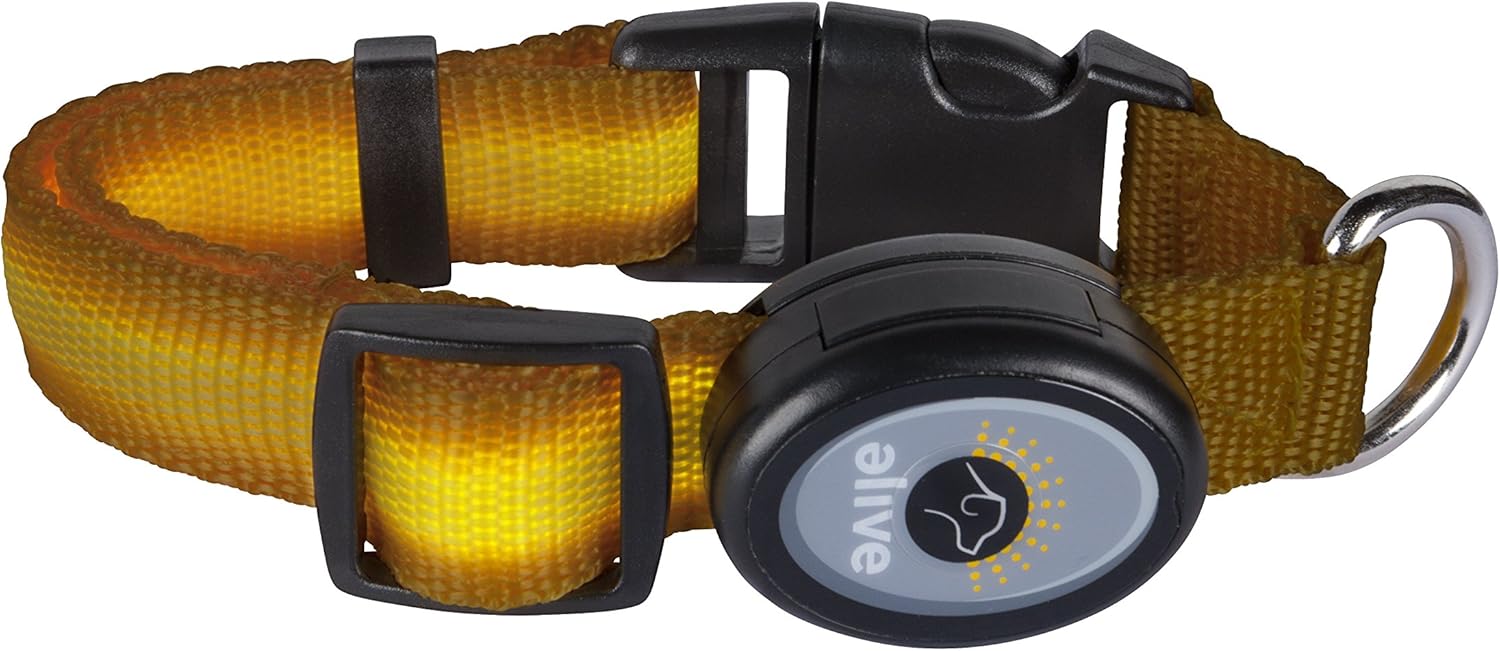elive dog collar