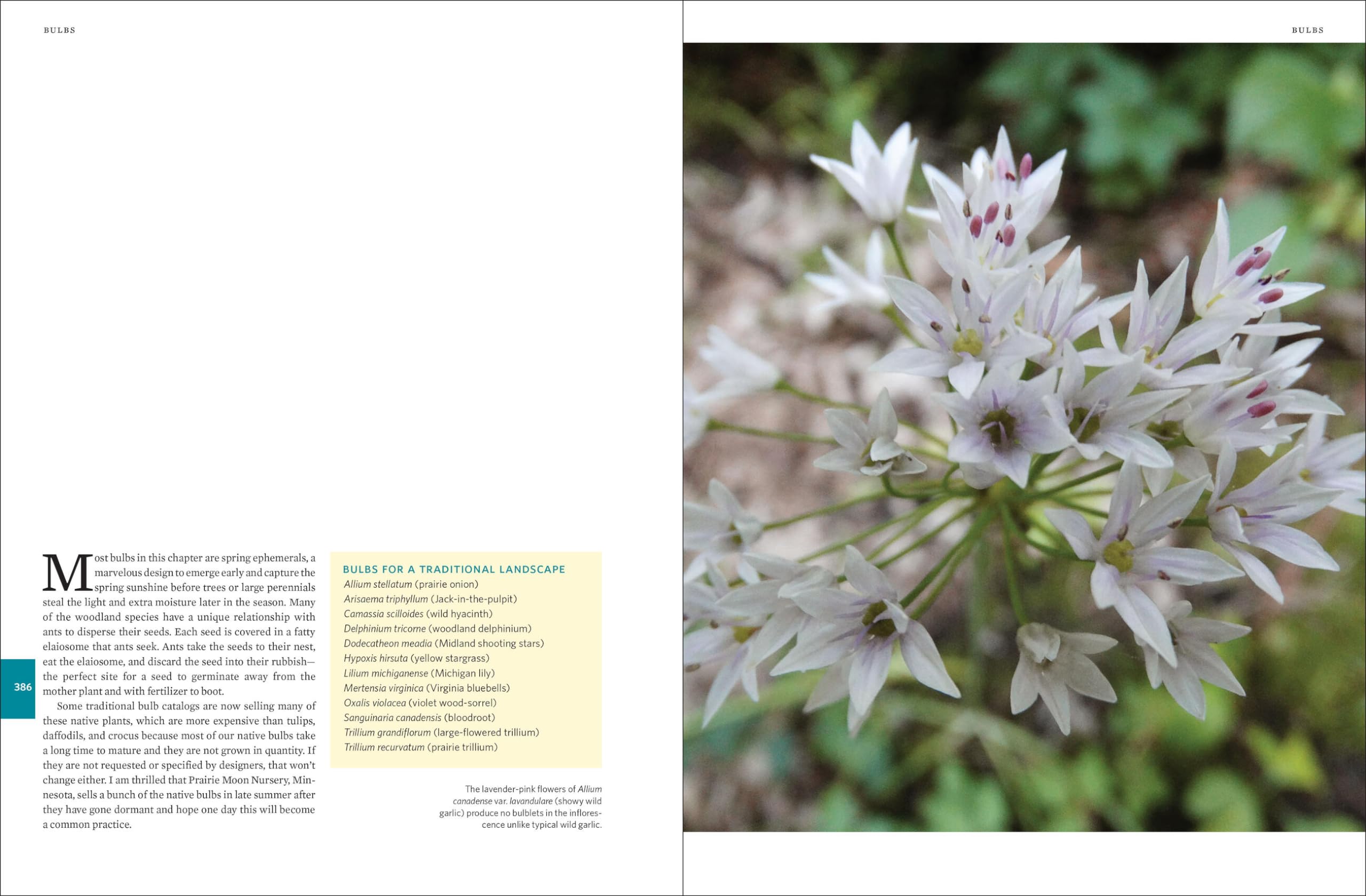 Native Plants of the Midwest: A Comprehensive Guide to the Best 500 Species for the Garden Native Plants of the Midwest: A Comprehensive Guide to the Best 500 Species for the Garden Native Plants of the Midwest: A Comprehensive Guide to the Best 500 Species for the Garden Hardcover Kindle