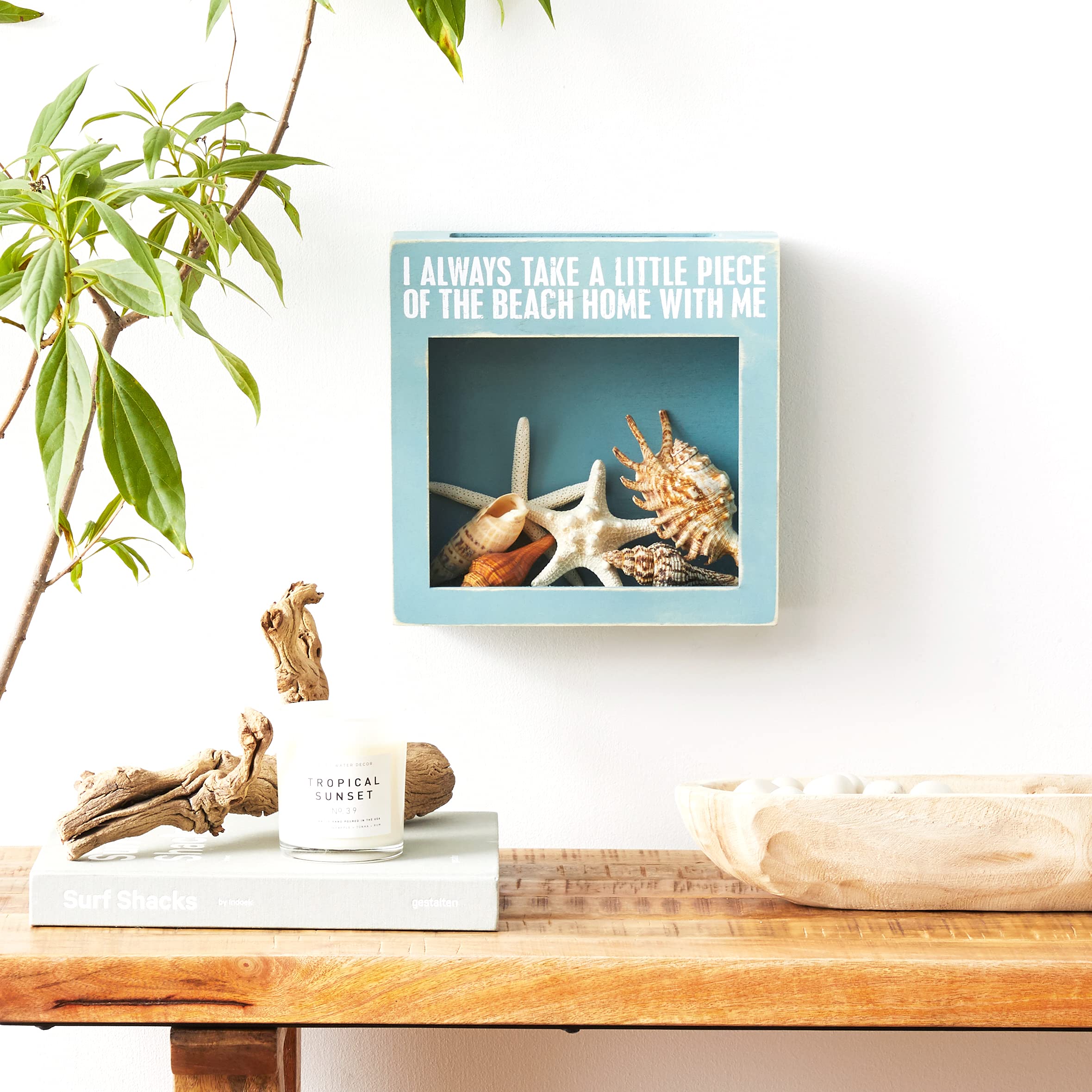 Primitives by Kathy Seashell Holder - Coastal Decor, Glass Display, Treasure Chest, Room and Bedroom Decor