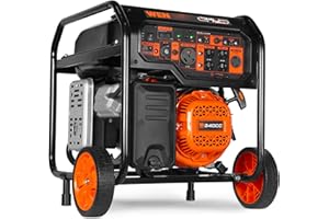 WEN DF8000X 8000-Watt Dual Fuel Electric Start Generator with CO Watchdog