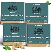 Remineralizing Chewing Gum with Hydroxyapatite, Xylitol - Enamel Protection, Fresh Breath Oral Health, No Aspartame, Dyes, Gluten, Sugar Free, Natural Xylitol Gum - Mastic Mint, 72 Pieces(4 Pack)