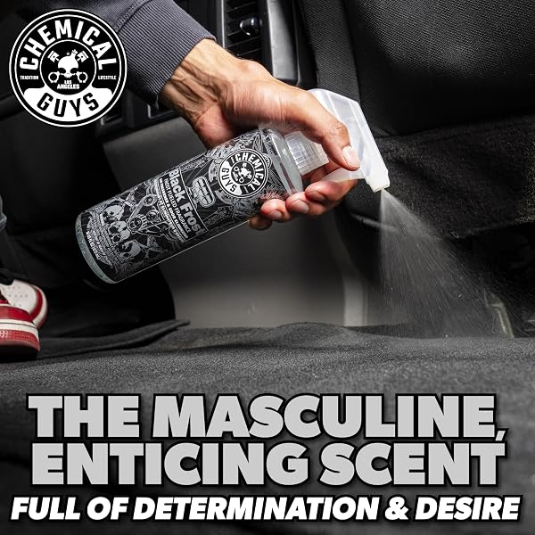 CHEMICAL GUYS BLACK FROST AIR PREMIUM CAR AIR FRESHENER SPRAY & ODOR ELIMINATOR – CRISP MASCULINE SCENT SPRAY FOR TRUCKS, SUVS, RVS, AND MOTORCYCLES – USE IN HOME, OFFICE, OR GARAGE, 16 OZ BOTTLE