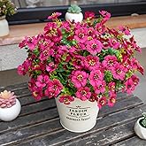 NETAP Artificial Flowers for Outdoors, 12 Bundles Realistic UV Resistant Fake Silk Flower, Faux Plants for Front Porch Patio Window Box Yard Spring Summer Decoration,Rose