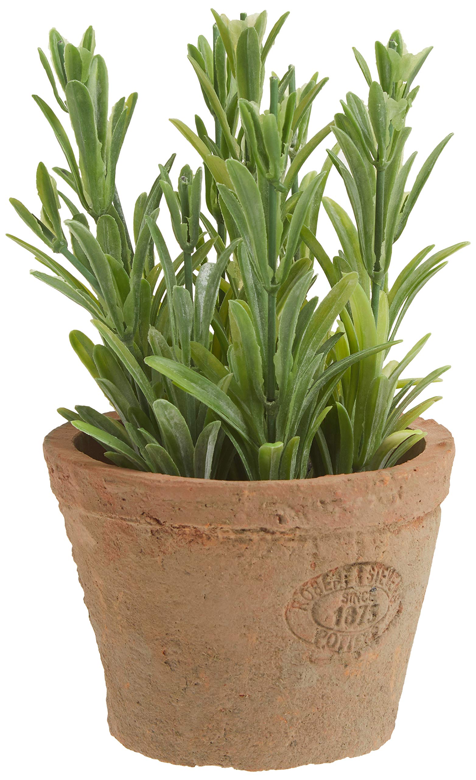 Esschert's Design AH011 Small Artificial Aged Terracotta Pot - Rosemary
