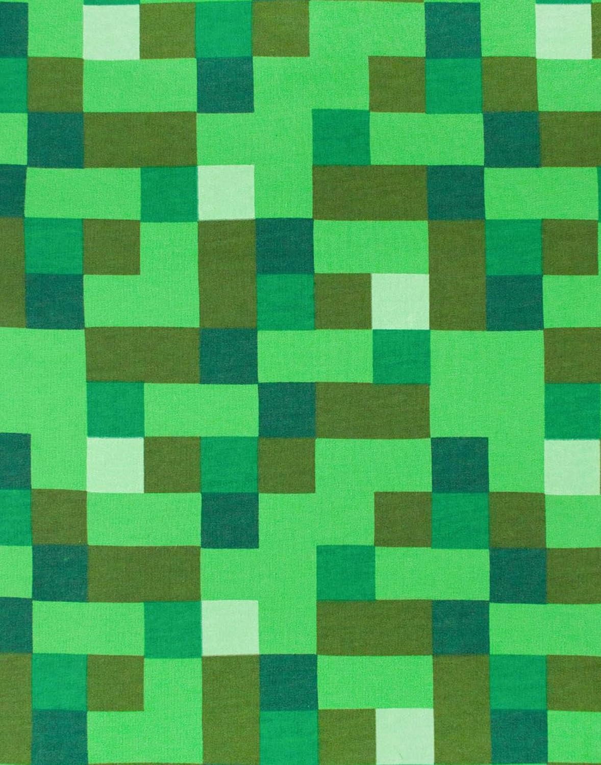 Minecraft Childrens/Boys Creeper Character Hoodie: Clothing