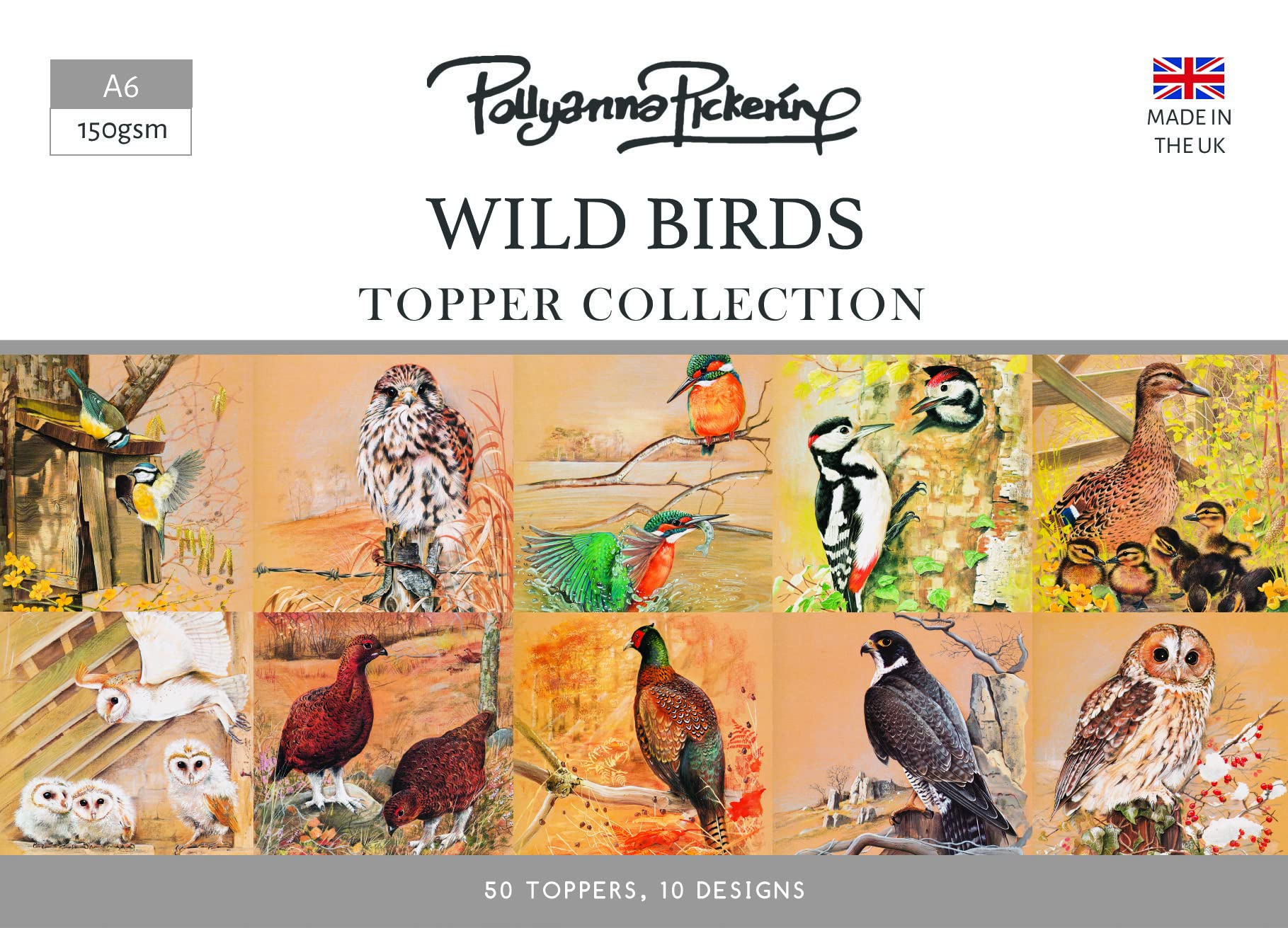 Pollyanna Pickering - Wild Birds - A6 Toppers
