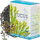 FUCUS SEAWEED HERBAL TEA | Wild Crafted Original Herbs Tea – 50g, Natural & Authentic Loose Leaf Tea, Easy to Brew