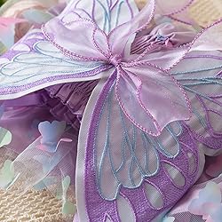 TTYAOVO Little Girl Butterfly Princess Dress Dreamy