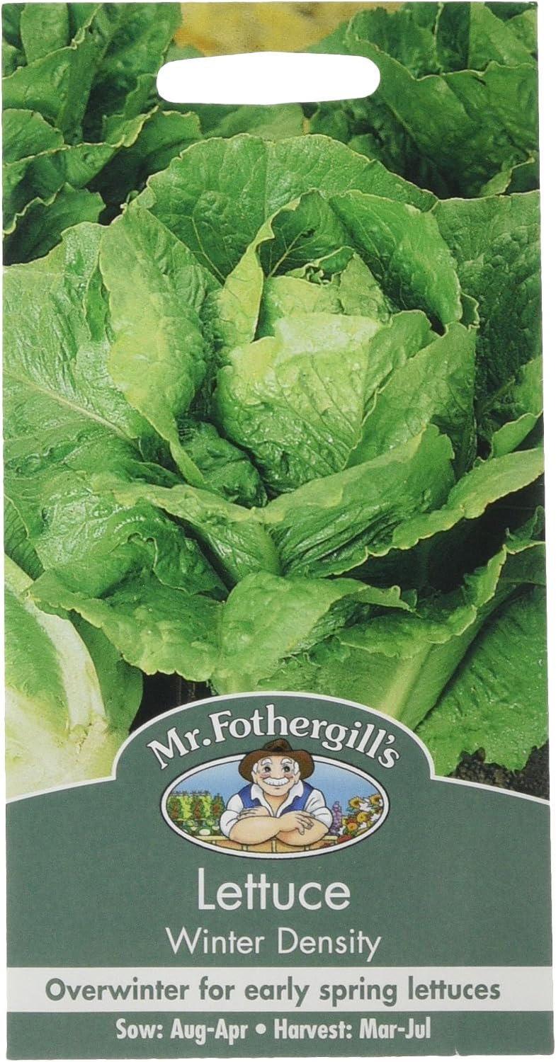 Mr Fothergill's 19517 Vegetable Seeds, Lettuce Winter Density