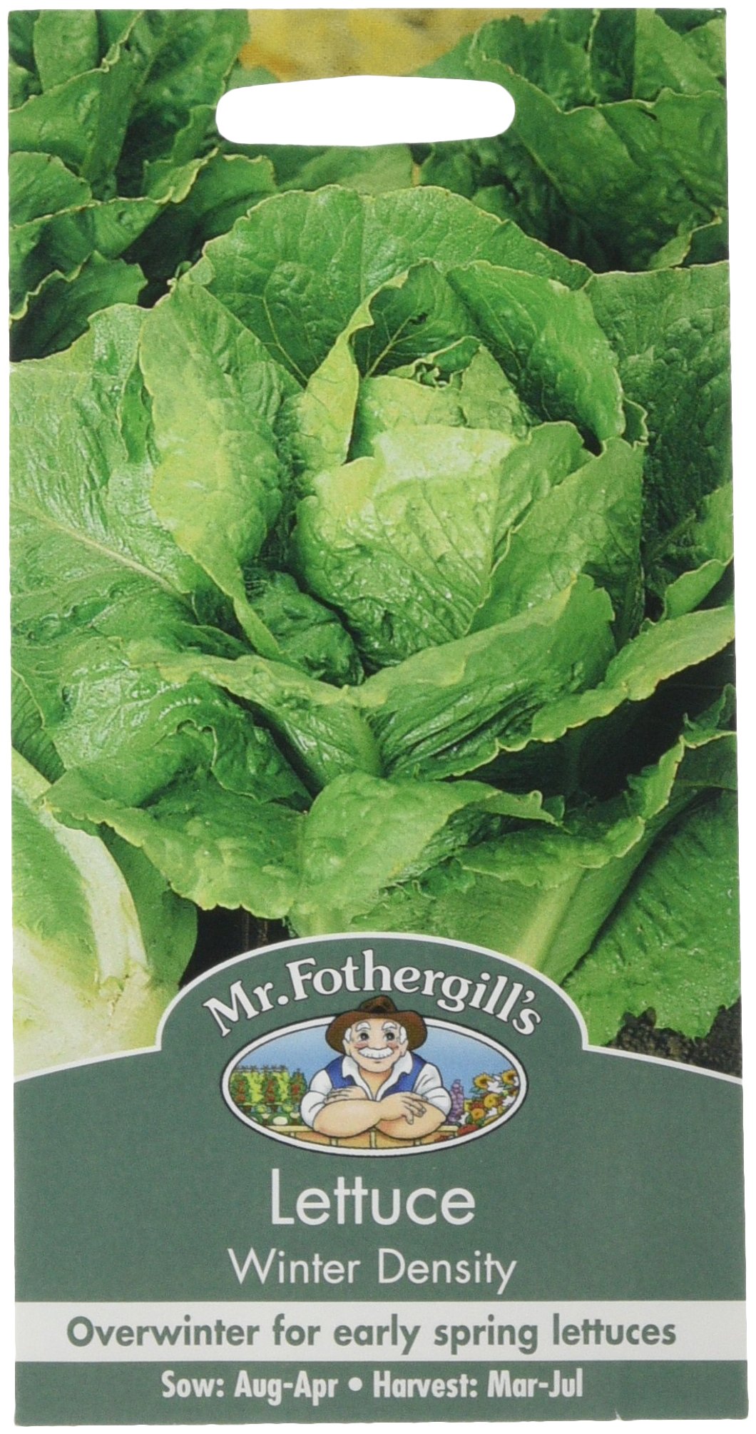 Mr Fothergill's Lettuce Winter Density