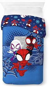 Jay Franco Marvel Spidey and His Amazing Friends Duvet Cover Set view 2
