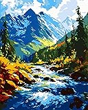 Yunnuo Paint by Numbers Kit DIY Abstract