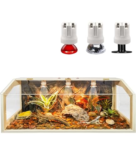Bearded Dragon Accessories Prolee 70 Gallon Reptile Terrarium
