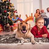 KATOOM 2 Sets Inflatable Reindeer Antler Hat Toss Game for Kids Adults Family view 4