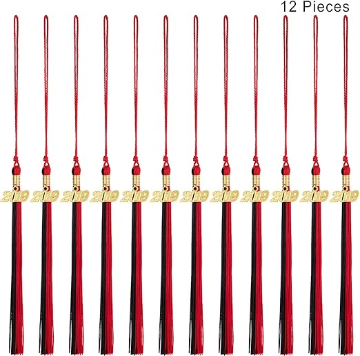Red 10 Pieces Graduation Tassel Graduation Cap Tassel with 2019 Year Charm for Graduation Parties 9.4 Inches