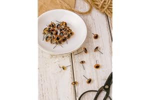 60Pcs 10 Styles Glass Eyes Kits, Goldenrod Craft Glass Doll Eyes with Steel Pin for Many Kinds of Puppets Doll Polymer Clay C